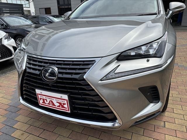 TOYOTA LEXUS NX300H 2018 Image 31