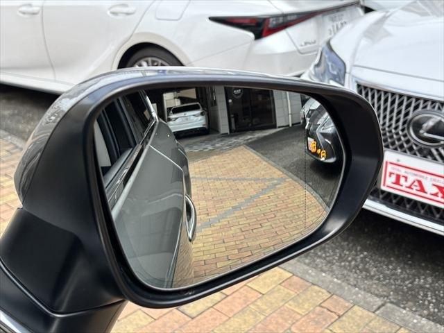 TOYOTA LEXUS NX300H 2018 Image 31