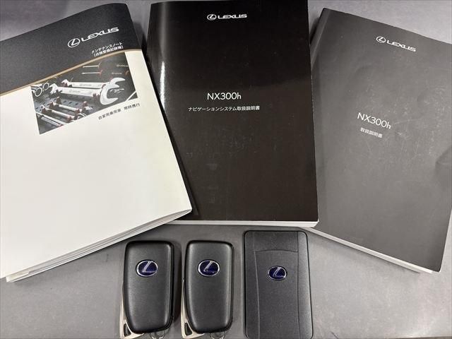 TOYOTA LEXUS NX300H 2018 Image 31