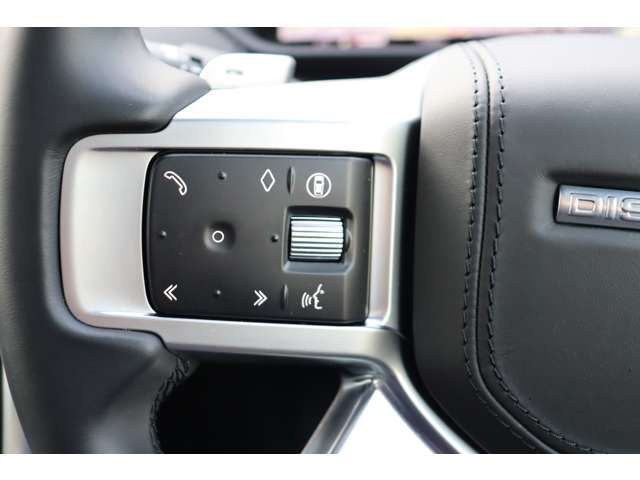 ROVER DISCOVERY 2023 Image 31