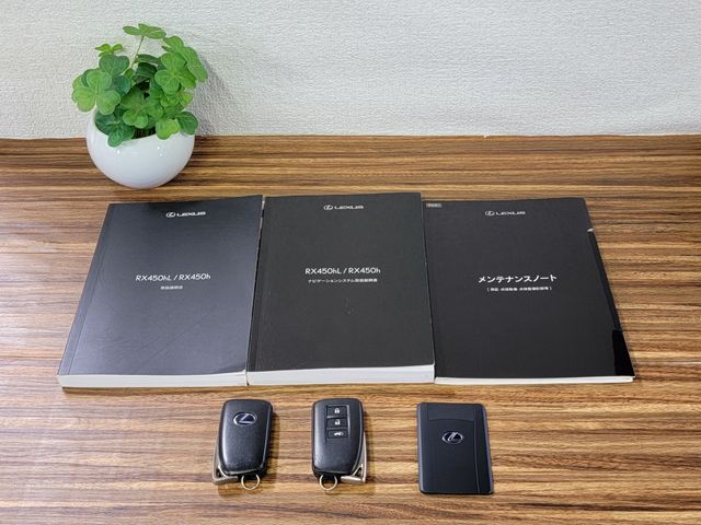 TOYOTA LEXUS RX450H AWD 2020 Image 31