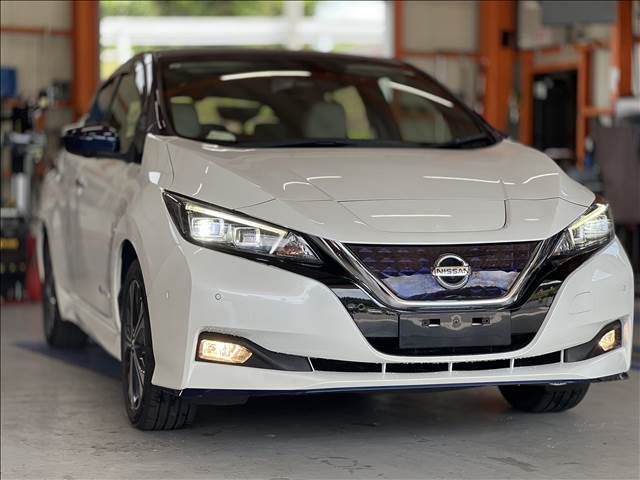 NISSAN LEAF 2019 Image 31