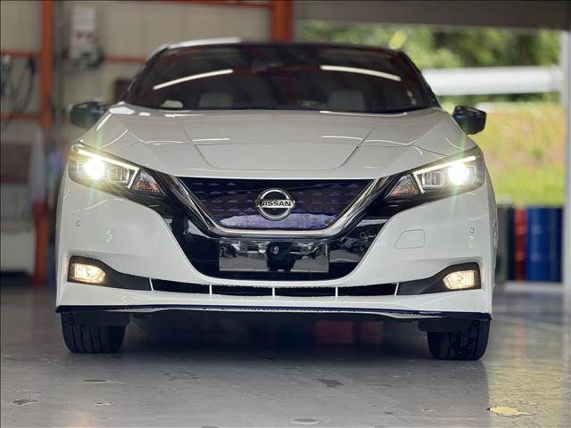 NISSAN LEAF 2019 Image 31