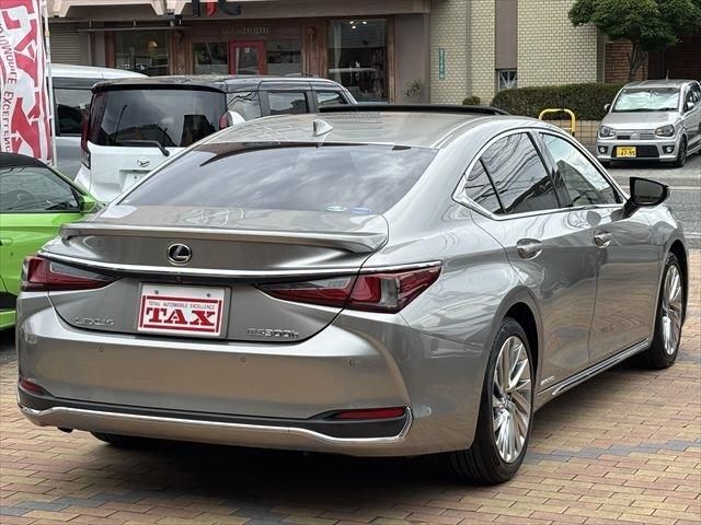 TOYOTA LEXUS ES300H 2019 Image 31
