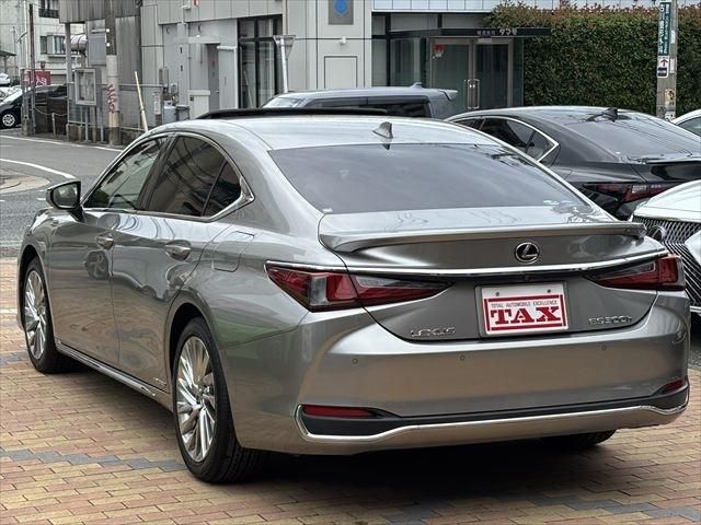 TOYOTA LEXUS ES300H 2019 Image 31