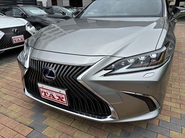 TOYOTA LEXUS ES300H 2019 Image 31
