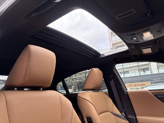 TOYOTA LEXUS ES300H 2019 Image 31