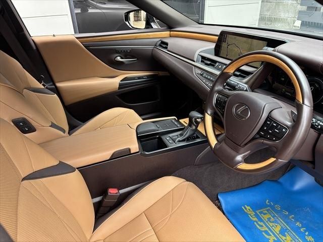 TOYOTA LEXUS ES300H 2019 Image 31