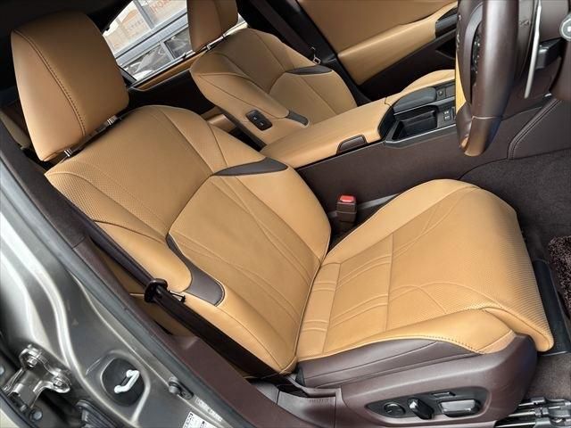 TOYOTA LEXUS ES300H 2019 Image 31