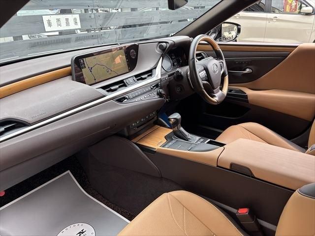 TOYOTA LEXUS ES300H 2019 Image 31