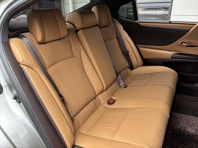 TOYOTA LEXUS ES300H 2019 Image 31