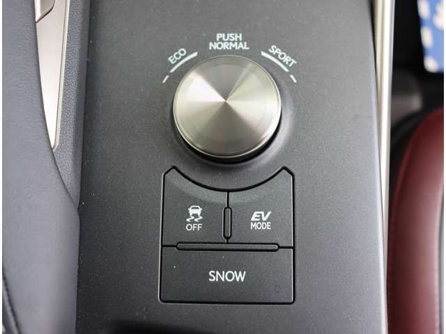 TOYOTA LEXUS IS300H 2018 Image 31