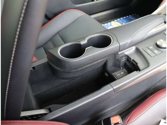 TOYOTA LEXUS IS300H 2018 Image 31