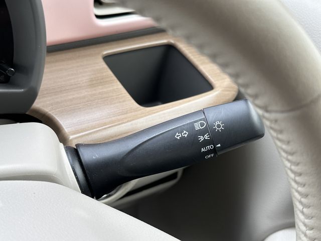 SUZUKI ALTO LAPIN 2016 Image 31