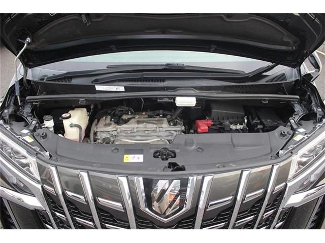 TOYOTA ALPHARD 2020 Image 31