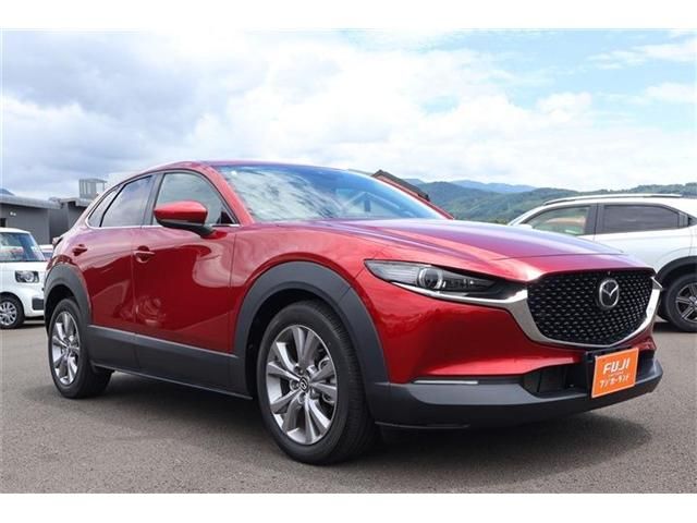 MAZDA CX-30 2019 Image 31