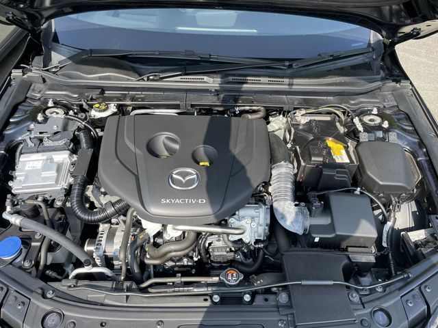 MAZDA 3 FASTBACK 2020 Image 31