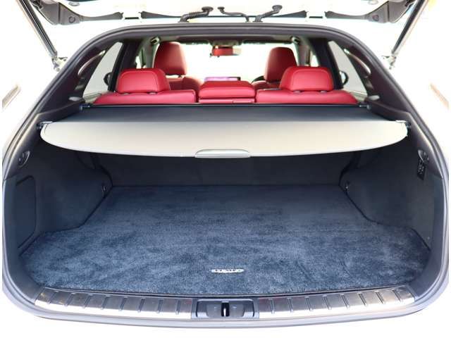 TOYOTA LEXUS RX450H AWD 2016 Image 31