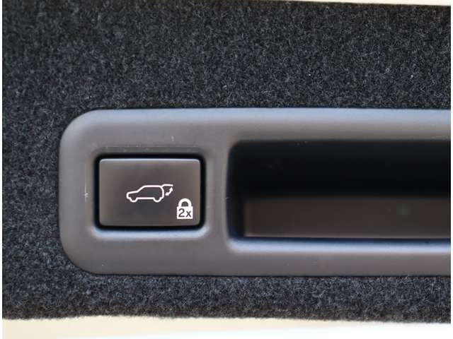 TOYOTA LEXUS RX450H AWD 2016 Image 31