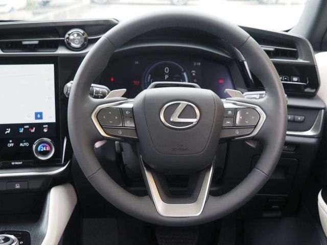 TOYOTA LEXUS RZ450E 2023 Image 31