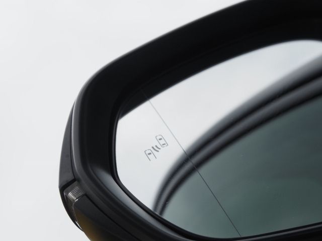 TOYOTA LEXUS RZ450E 2023 Image 31