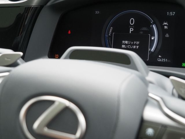 TOYOTA LEXUS RZ450E 2023 Image 31