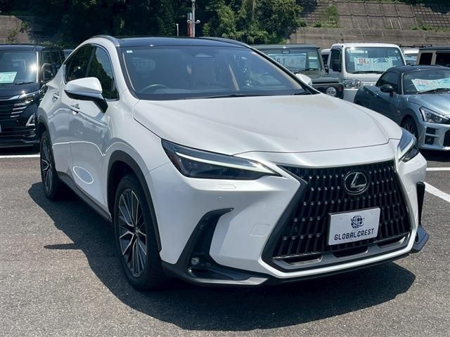TOYOTA LEXUS NX350H 2024 Image 31