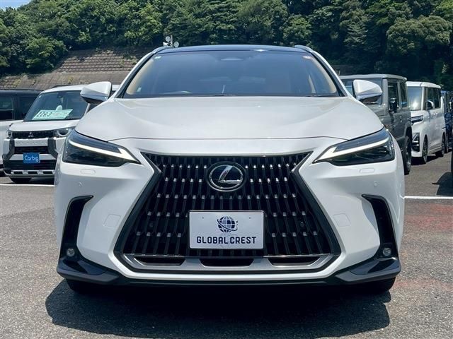 TOYOTA LEXUS NX350H 2024 Image 31