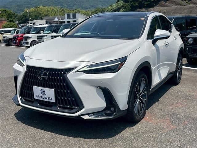 TOYOTA LEXUS NX350H 2024 Image 31