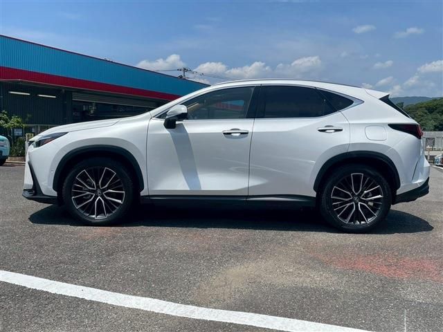 TOYOTA LEXUS NX350H 2024 Image 31