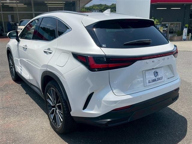 TOYOTA LEXUS NX350H 2024 Image 31