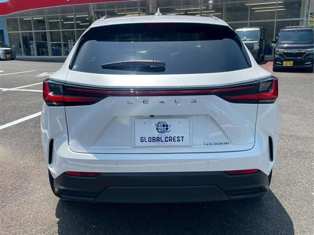 TOYOTA LEXUS NX350H 2024 Image 31