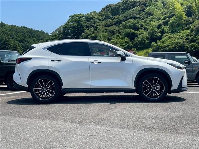 TOYOTA LEXUS NX350H 2024 Image 31