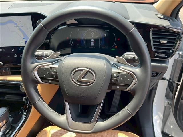 TOYOTA LEXUS NX350H 2024 Image 31