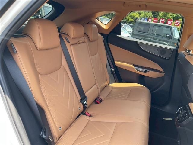 TOYOTA LEXUS NX350H 2024 Image 31