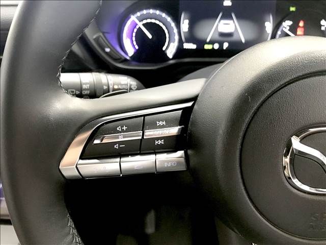 MAZDA MX-30 EV 2021 Image 31