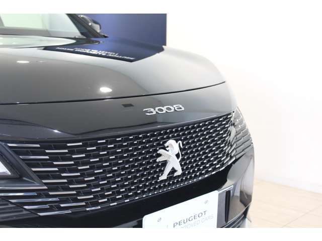 PEUGEOT 3008 2024 Image 31