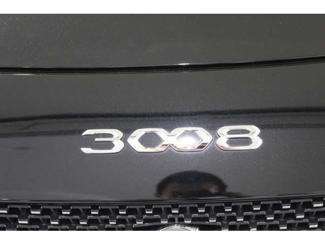 PEUGEOT 3008 2024 Image 31