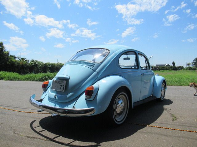 VOLKSWAGEN BEETLE 1973 Image 31