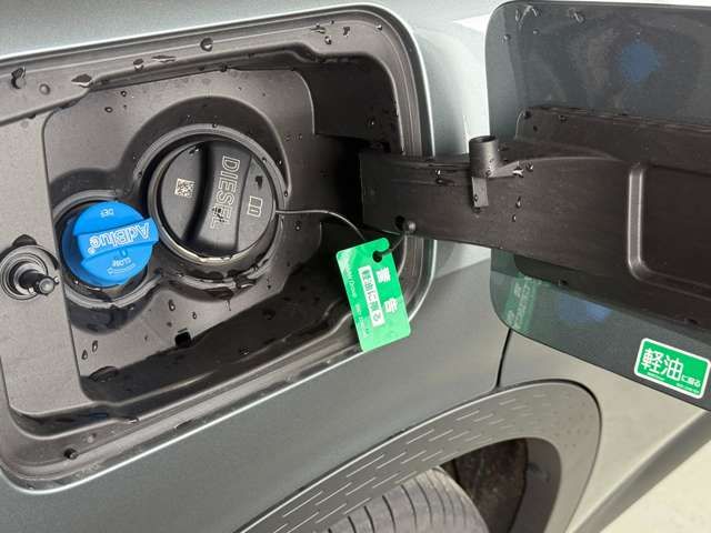 BMW MINI COUNTRYMAN 2024 Image 31