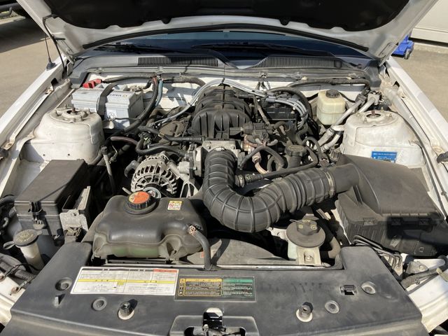 FORD MUSTANG 2008 Image 31