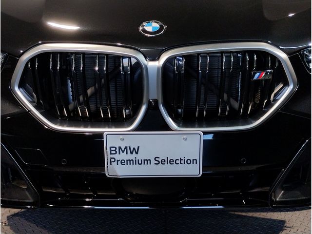 BMW X6 2023 Image 31