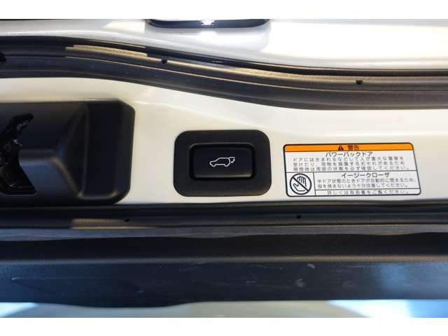 TOYOTA LANDCRUISER WAGON 2020 Image 31