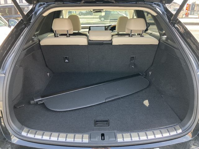 TOYOTA LEXUS RX450H+ 2023 Image 31