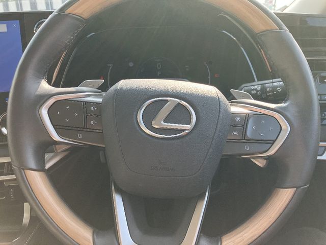 TOYOTA LEXUS RX450H+ 2023 Image 31