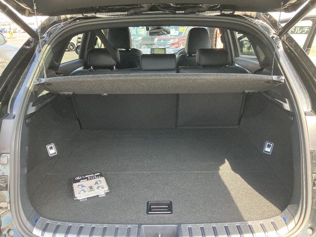 TOYOTA LEXUS NX300H AWD 2016 Image 31