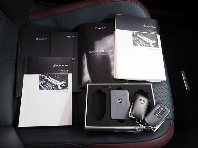 TOYOTA LEXUS IS300H 2016 Image 31