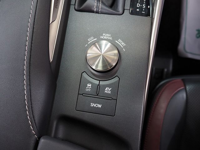 TOYOTA LEXUS IS300H 2016 Image 31