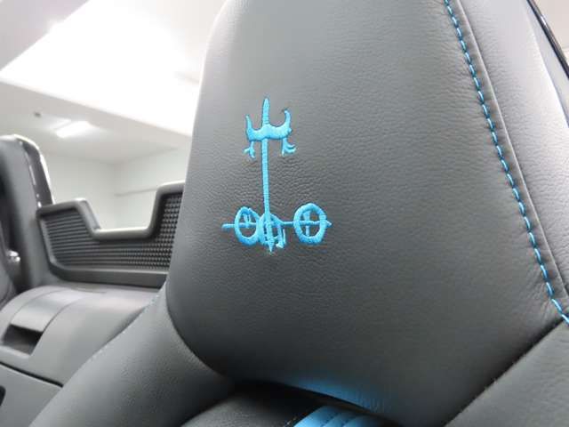 MITSUOKA ROCK STAR 2021 Image 31