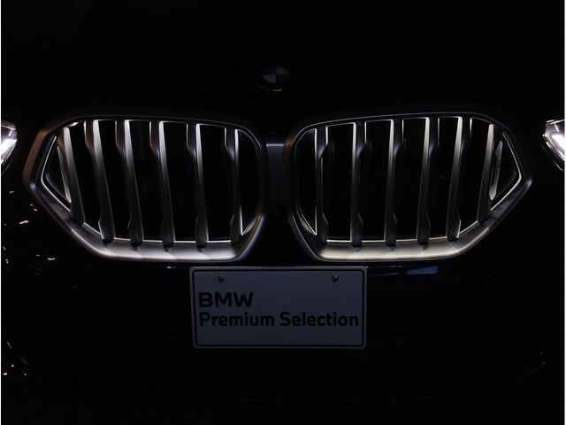 BMW X6 2020 Image 31